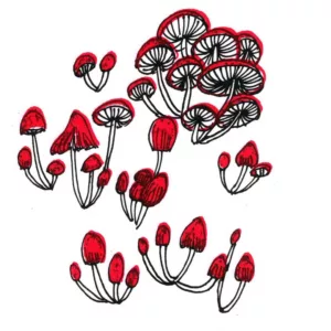 A pen-and-ink drawing of mushrooms depicted in red and black