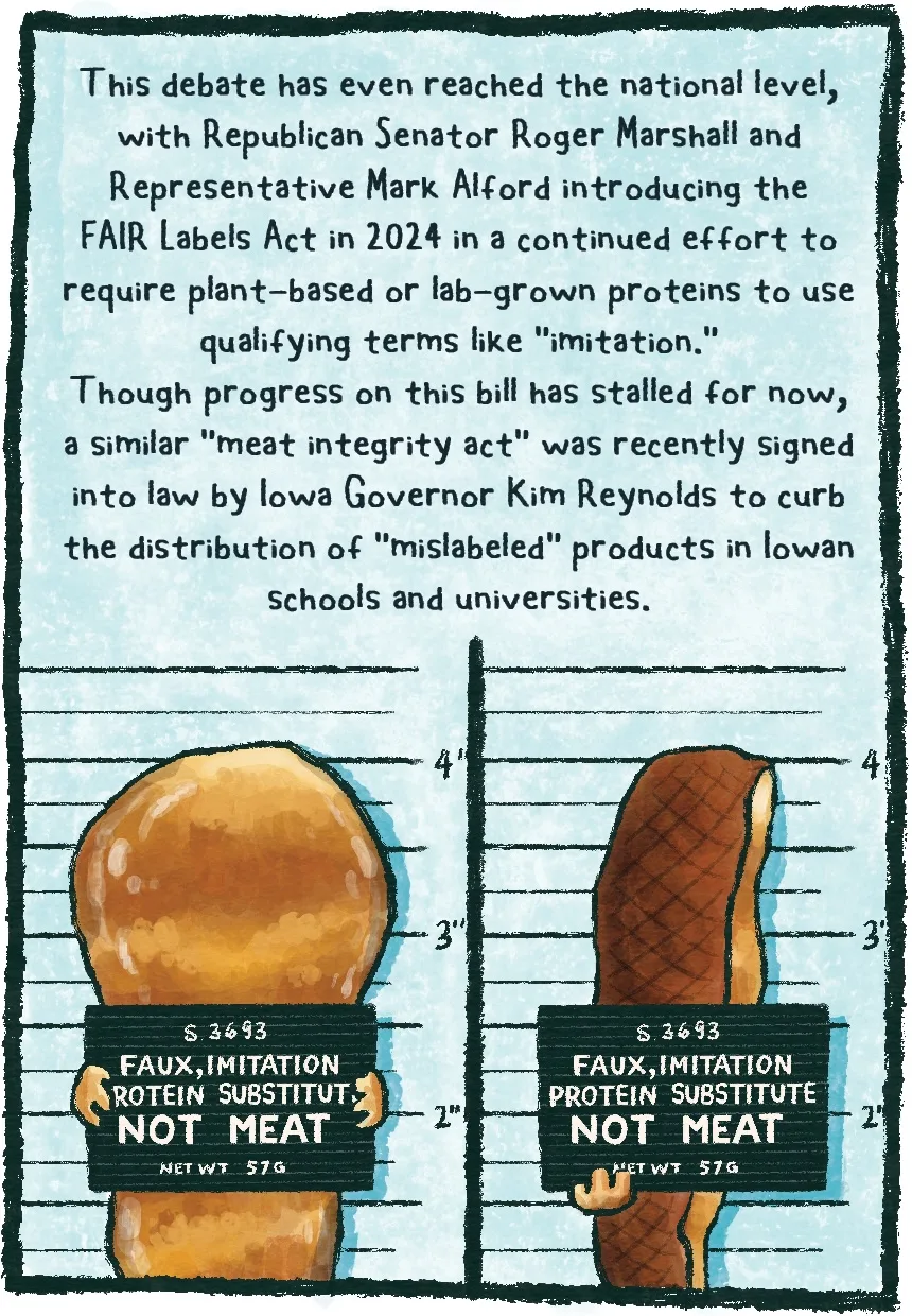 Panel 7 opens with the text, “This debate has even reached the national level, with Republican Senator Roger Marshall and Representative Mark Alford introducing the FAIR Labels Act in 2024 in a continued effort to require plant-based or lab-grown proteins to use qualifying terms like "imitation." Though progress on this bill has stalled for now, a similar "meat integrity act" was recently signed into law by Iowa Governor Kim Reynolds to curb the distribution of "mislabeled" products in Iowan schools and universities.” Underneath is an illustration of a veggie chicken tender in a police mugshot (front view on the left, profile view on the right). A height measure in the back shows the tender stands about 4” tall. The tender is holding a black sign that reads: “S. 3693, FAUX, IMITATION PROTEIN SUBSTITUTE, NOT MEAT, net wt 57g.” (S. 3693 is a reference to the FAIR Labels Act.)